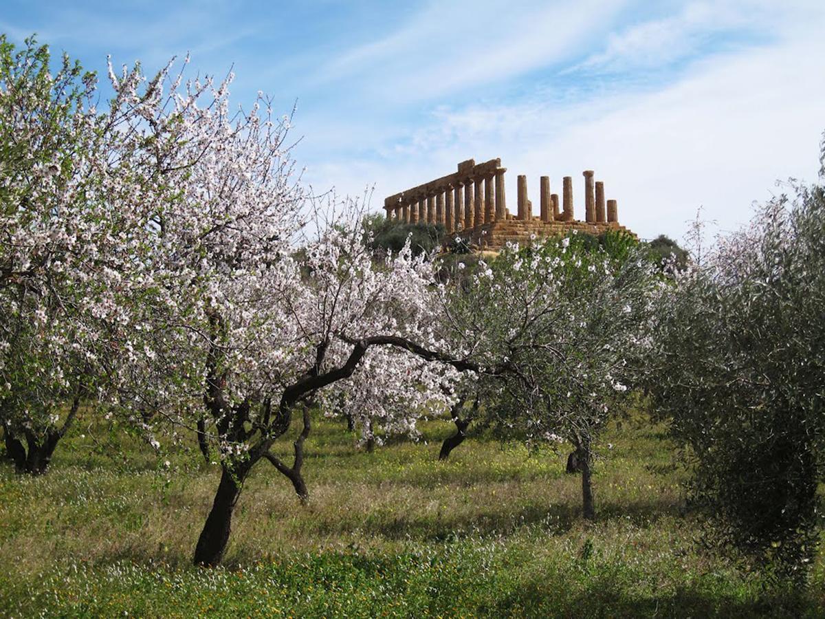 Anima Templi Apartment Agrigento Exterior photo